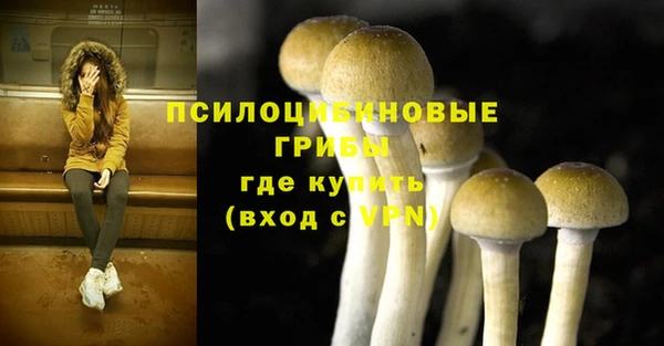 соль курить ск Михайловка