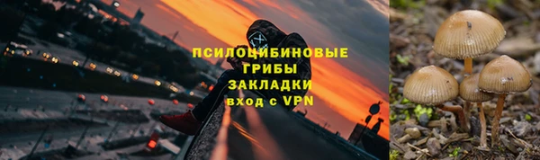 первитин Алексин